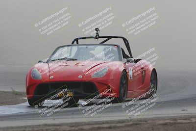 media/Jul-31-2022-Speed Ventures (Sun) [[bfb4b6530b]]/Black Group/Grapevine/